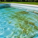 Algues marron piscine : comment les identifier et les éliminer efficacement